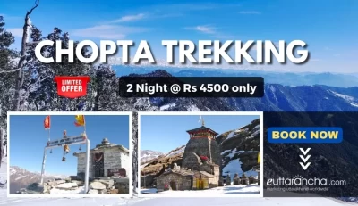 Chopta 2 Nights Trekking Tour with Tungnath Chandrashila