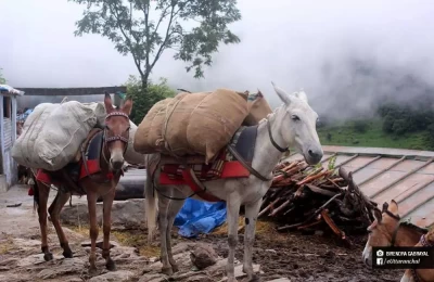  Glimpse from Aadi kailash & Mansarover Trek