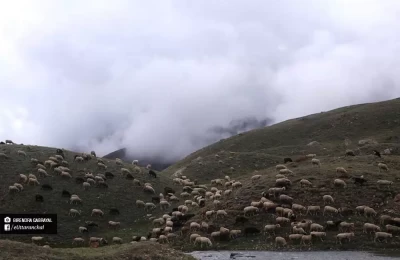  Aadi kailash & Mansarover Trek