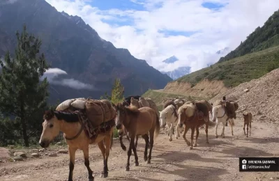  Aadi kailash & Mansarover Trek
