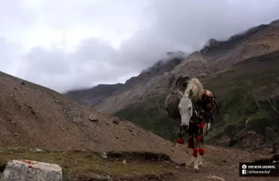 Aadi kailash & Mansarover Trek