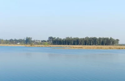 Assan Barrage Bird Sanctuary view.