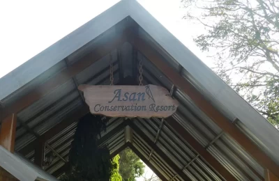 Basic facilities for tourists at Assan Barrage Bird Sanctuary is also available