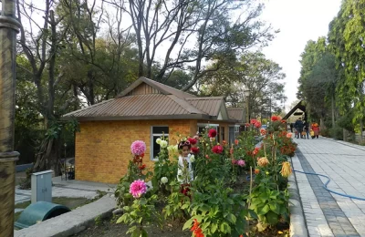 A small traveler in the search of birds in Assan Barrage Bird Sanctuary, Dehradun Uttarakhand