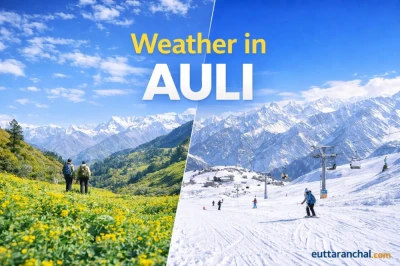 Auli Weather Guide