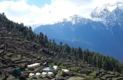Tourist Camps on the hills of Auli