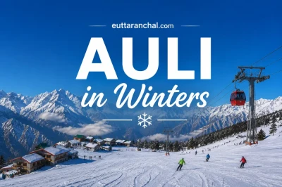 Auli in Winters