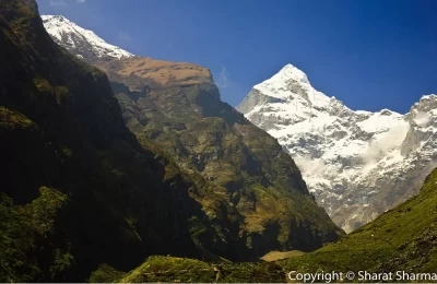 View of Neelkanth Peaks from Badrinath Dham.