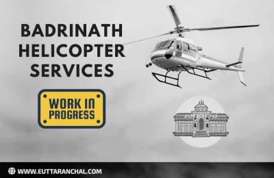 Badrinath Helicopter Services