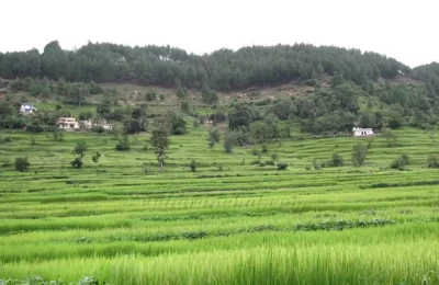 Fields near Bageshwar