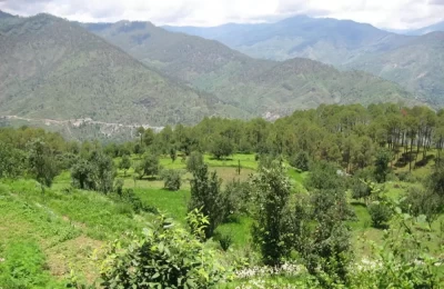 Apple orchards photos near Barkot, copyright by: Vijay Uniyal