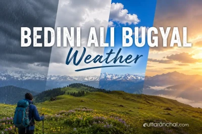 Bedni Ali Bugyal Weather Guide