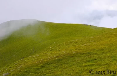 Misty slopes of Ali Bugyal, Uttarakhand