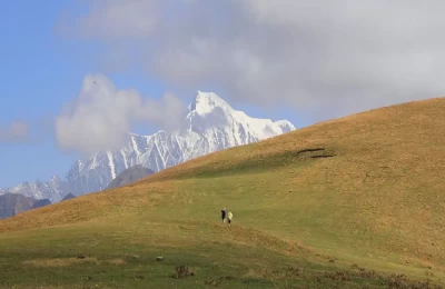 Green meadows of Ali Bugyal in Uttarakhand.