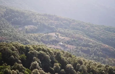 Benog Wildlife Sanctuary