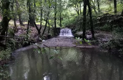 Benog Wildlife Sanctuary