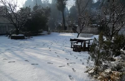 Snowfall in Bhowali