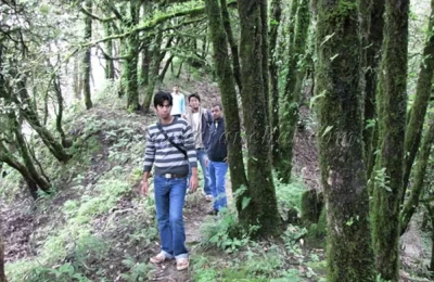 The jungle trek - inside Binsar Wildlife Sanctuary