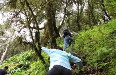 Tourists hunting the jungle to spot the wildlife in Binsar Wildlife Sanctuary
