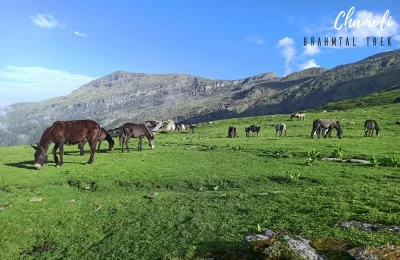 Enroute Brahmatal Trek