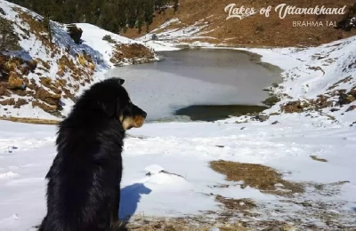 Brahmatal Lake