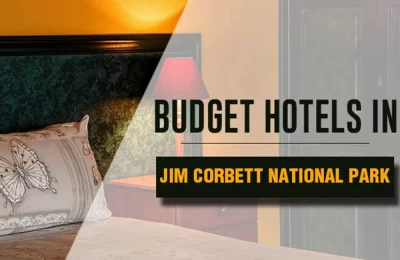 Budget Hotels in Jim Corbett National Park