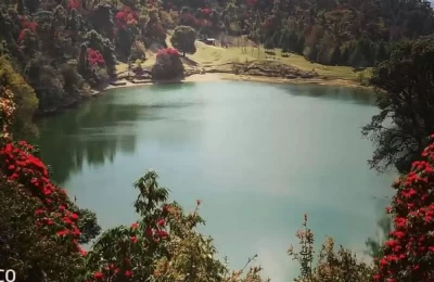 Red Burnash Forest around Deoriatal Lake