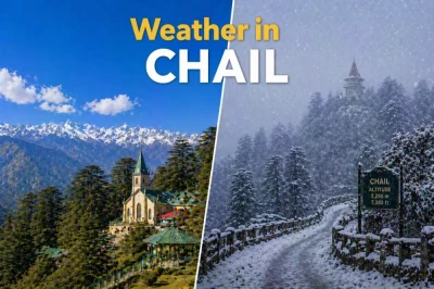 Chail Weather Guide