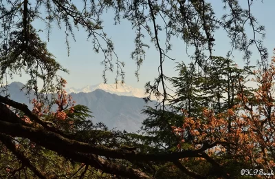 A scenic view of nature in Chakrata