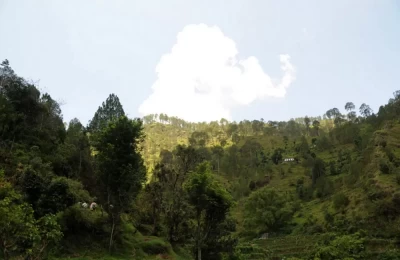 Hills near Chamba Uttarakhand