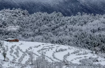 Mesmerising view of secluded house and snow capped fields in Chaukori in winters