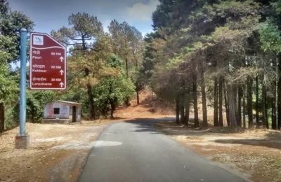 Road towards Lansdowne from Chelusain
