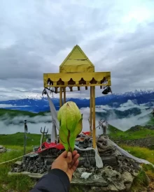 Chipla Kedar in summer