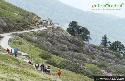 Trackway to Tungnath from Chopta