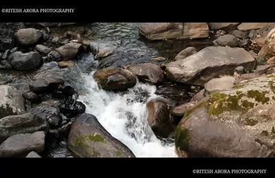 A small river in Chopta.