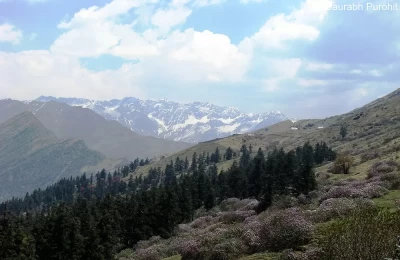 Chopta is the base for trekking to Tungnath Temple. This 3.5 km trek has got one of the most beautiful views in the Himalayas. Different species of Rhododendron are visible here along with conifers. It is also famous for floral and faunal diversity with one of few places having our state tree (Rhododendron), bird (Himalayan Monal), animal (Musk Deer) and flower (Brahmkamal) in one area.