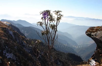 View from Tungnath towards Gopeshwar