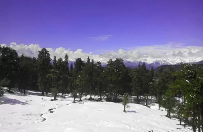 The scenic beauty of Chopta valley, during winter.