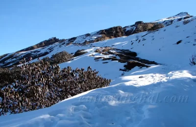 Chopta-Tungnath Trek