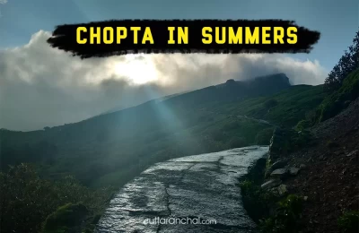 Chopta in Summer