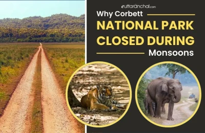 Why Corbett National park closed during Monsoons