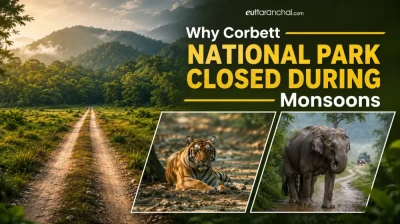 Why Corbett National park closed during Monsoons