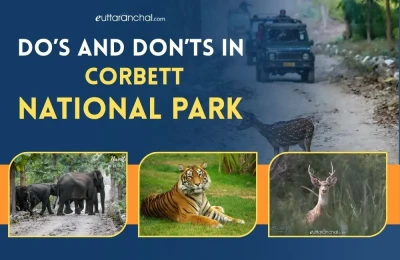 Do's and Dont's In Corbett National Park