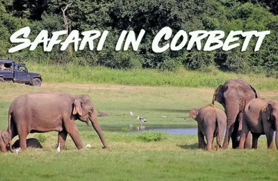 Online Jeep Safari booking for Corbett National Park