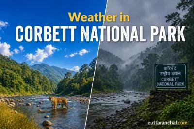 Corbett National Park Weather Guide