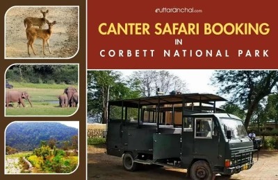 Canter Safari Booking in Corbett National Park