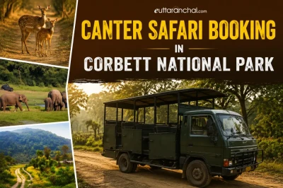 Canter Safari Booking in Corbett National Park
