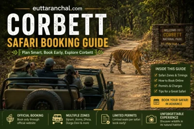 Corbett Safari Booking Guide