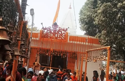 Danda Nagraja Mela