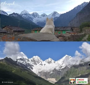 Dog enjoy the beautiful view